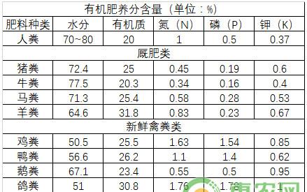 草莓种植课堂：蚯蚓粪在草莓种植过程中的作用