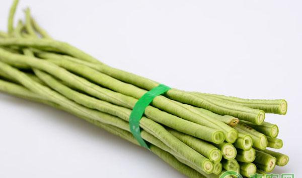 豆角钻心虫生物防治
