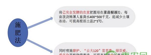 蔬菜种植干货：寒冷天气下，蔬菜怎么防寒保暖？