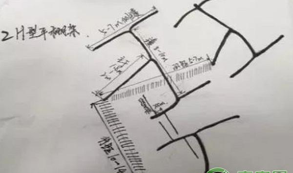 葡萄种植课堂：高产葡萄架式类型大盘点