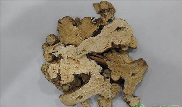 中药材白术的市场前景及规模化种植技术