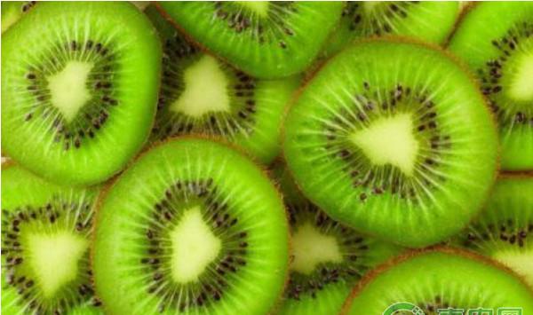 猕猴桃3月生产管理技术方案