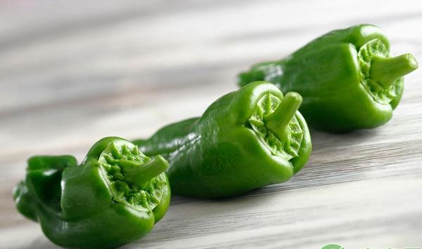 大棚青椒种植技术