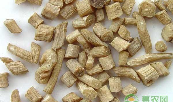 牛膝种植技术及效益分析