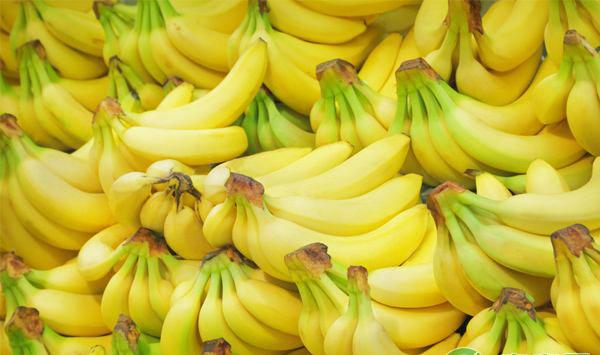 香蕉叶斑病怎么办？香蕉叶斑病综合防治方法