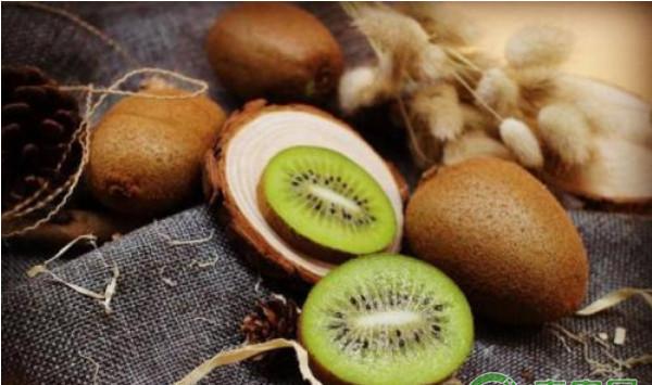 猕猴桃3月生产管理技术方案