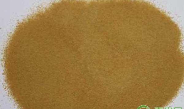  蔬菜为什么要补充钙肥？大棚蔬菜钙肥施用技术