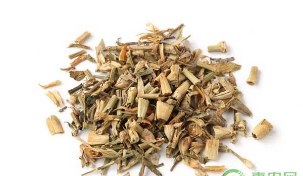 瞿麦怎么种？药材瞿麦的种植技术 