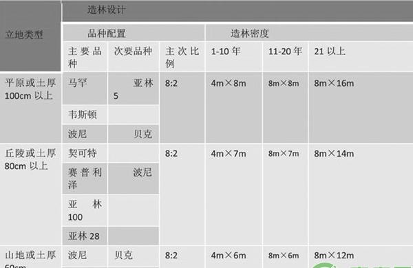 优化品种配置，科学规划造林模式
