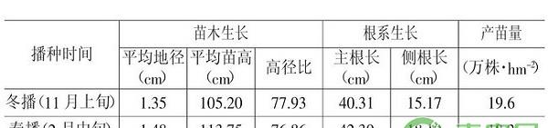南酸枣人工育苗技术
