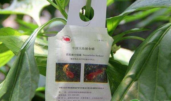 推广捕食螨