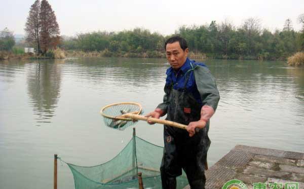 提高水产养殖效益，放养规划要考虑这四点