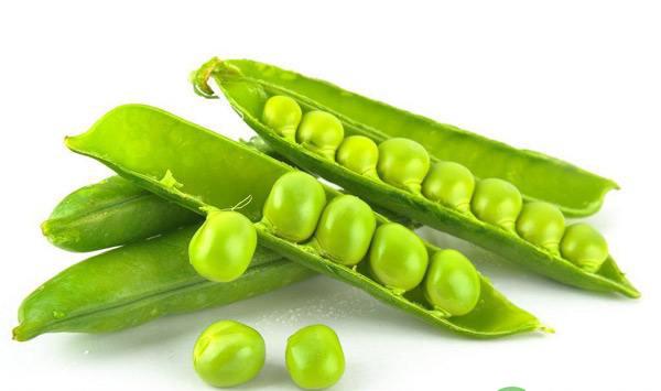 豇豆叶发黄怎么办？豇豆发黄的原因及解决方法