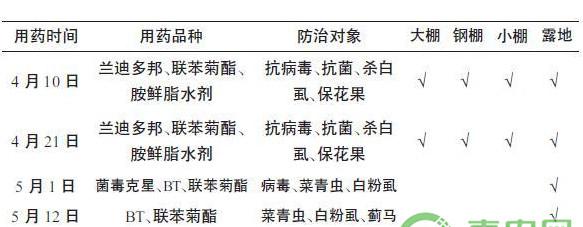 江西地区早辣椒避雨栽培技术要点