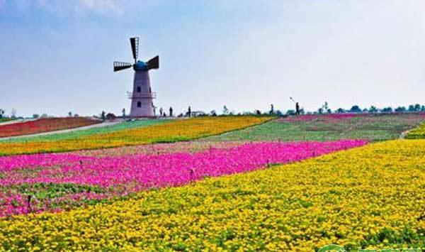 花海景观产业现状分析及存在的问题对策