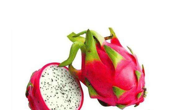 火龙果怎么嫁接？火龙果的五大嫁接方法详解