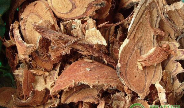 鸡血藤高效栽培技术及病虫害防治