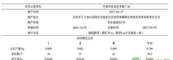 高寒阴湿地区羊肚菌日光温室高产种植技术
