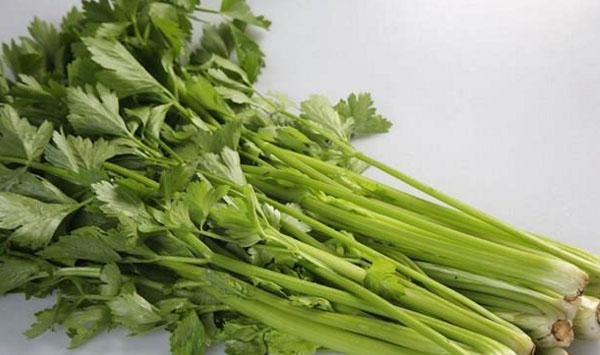 芹菜如何高产种植？芹菜种植环境要求及茬次栽培技术