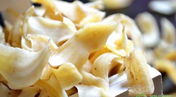 药用百合怎么种植？药用百合规范化栽培技术