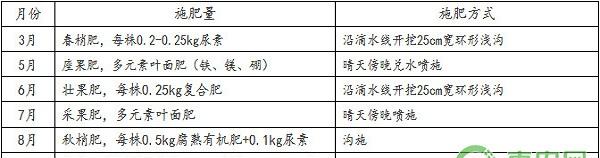 中药材香橼规范化栽培技术规程