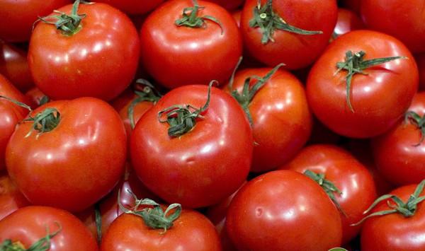 西红柿优质高产栽培技术要点