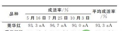 浅谈火龙果芽接技术的探究