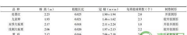 新化县各板栗品种的试栽表现及无公害栽培技术