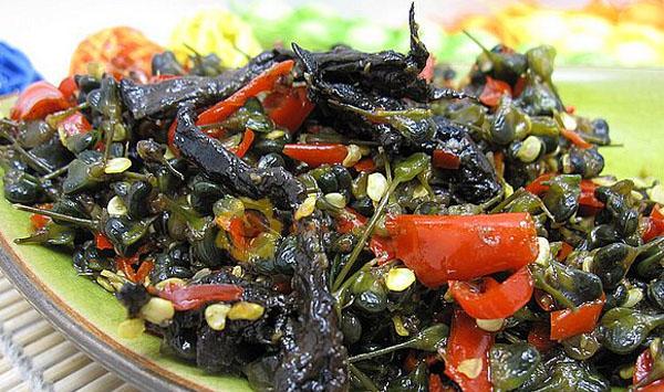 干巴菌如何种植？拟野生干巴菌种植的注意事项