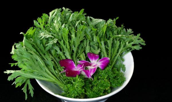 茼蒿怎么种植？茼蒿高产种植技术
