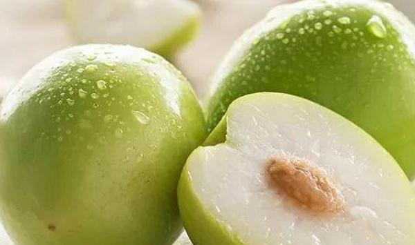 大青枣高产栽培管理技巧