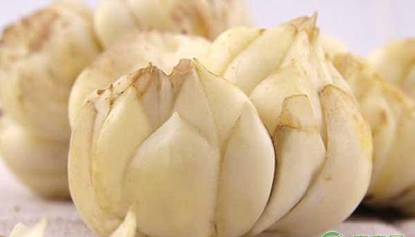 药用百合怎么种植？药用百合规范化栽培技术