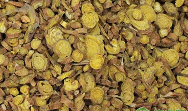 黄芩高产种植技术及市场效益分析