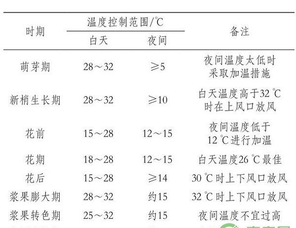 河西走廊红巴拉多葡萄促成栽培关键技术