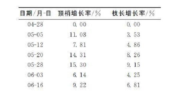 红色沙梨怎么种？红色沙梨新品种“彩云红”的栽培技术详解