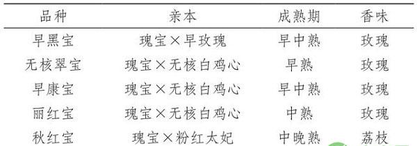 浙江地区宝系列葡萄品种引种与栽培管理