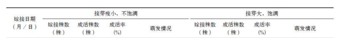 秦岭地区核桃提高高接成活率和保存率的技术探究
