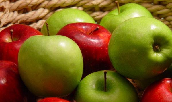 苹果卷叶蛾类害虫怎么防治？苹果卷叶蛾类害虫防治技术