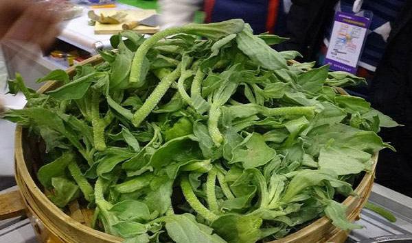 这种新型“水晶蔬菜”，已成为餐桌新贵（附冰菜种植方法）