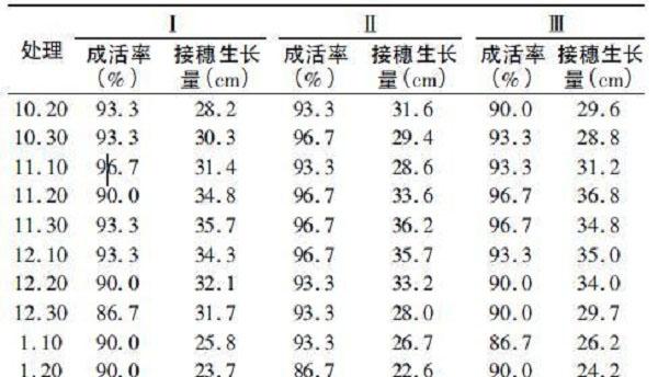 不同嫁接时间对澳洲坚果苗木嫁接成活率及生长的影响