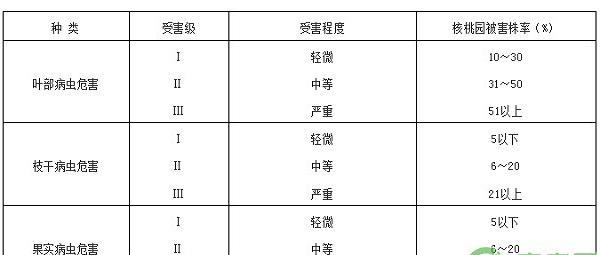 核桃优质丰产栽培技术规程