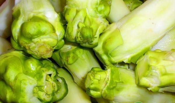 青菜头无公害优质高产栽培技术要点