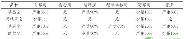 浙江地区宝系列葡萄品种引种与栽培管理