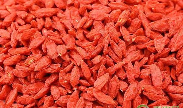 浅谈枸杞主要病虫害的综合防治技术