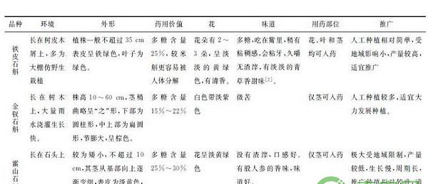 夷陵区铁皮石斛种苗繁育及栽培技术