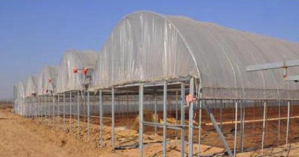 葡萄种植设施模式和设施类型