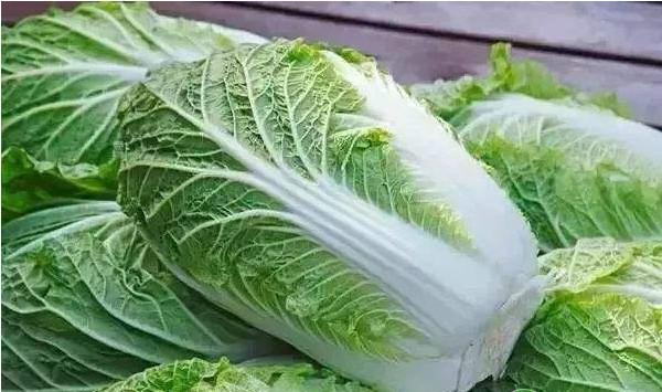 探讨蔬菜优质高产栽培技术方法