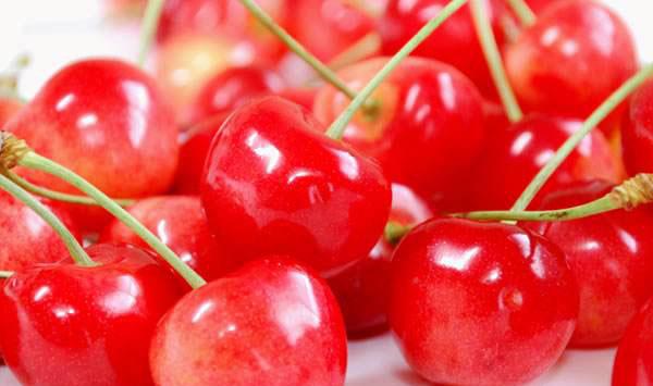 樱桃裂果该补钙还是该控水？樱桃防止裂果的方法