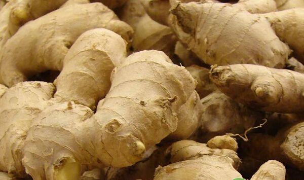 生姜什么时候种？生姜优质安全高效种植技术