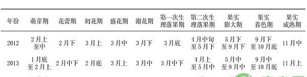 红马叙葡萄柚主要栽培技术及病虫害防治